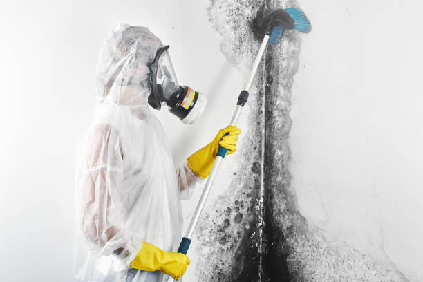 Best Industrial Mold Remediation  in Osage Beach, MO