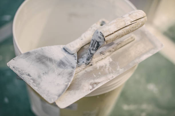 Best Mold Damage Restoration  in Osage Beach, MO
